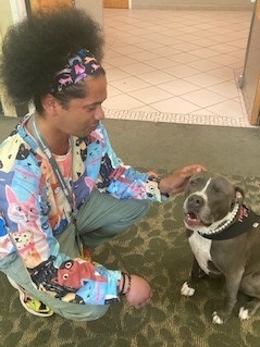 Chloe the therapy pup being pet by the PBS Kids Librarian Mychal Threets, who is wearing a colorful shirt and head band.